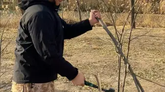 热腾腾的烤红薯