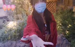 青州古城一日游，事实证明我们是冲动了。