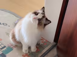 这一刻终于懂了，为什么孩子能够拴住妈！