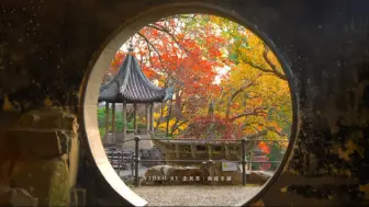 秋绥冬禧，这个秋天苏州给你留下了那些回忆？