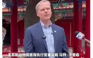 孟动CEO：丫丫有趣，爱玩，像个穿熊猫服的人
