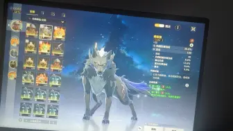 安可大概是毕业面板？