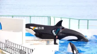 上来搓个澡，上个称