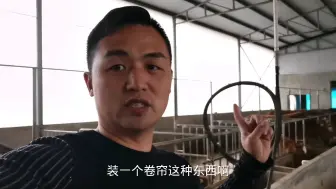 冬季牛舍保暖怎么做？卷帘布非常实用，保证栏舍通风又能晒太阳