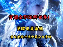 穿越全职法师世界！觉醒追妻系统，靠追妻提升战力获众女青睐