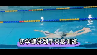 初学蝶泳划手试试夹板训练！