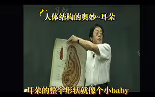 倒过来看耳朵，像不像胎儿的形态，速记耳穴。