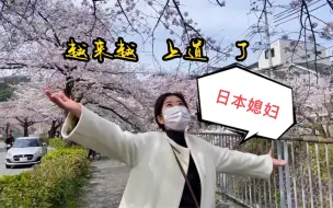 日本媳妇越来越上道了