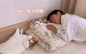 有宠物陪伴的小学生，周末生活很精彩