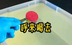 铭《呼来喝去》