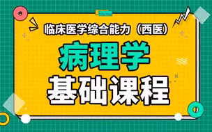 医学考研306临床医学综合能力（西医综合）--病理学 基础课