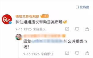 刘亦菲擅长带动垂类市场！