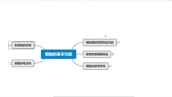 《生理学》6小时学完预习复习期末考试速成不挂科