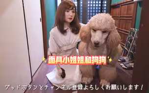 【面具】面具小姐姐和狗狗