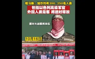 #哈马斯称外国人质是客人将适时释放#