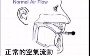 管乐循环呼吸原理与练习