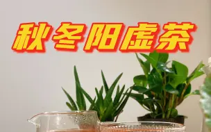 秋冬手脚冰凉|阳虚体质|张仲景名方阳虚茶