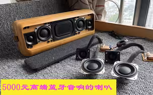 5000元高端EVA BLU竹子蓝牙音响上的喇叭