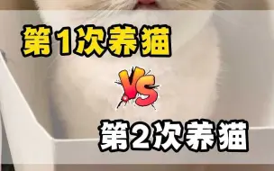养猫别焦虑