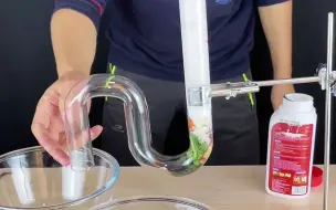管道疏通剂测评