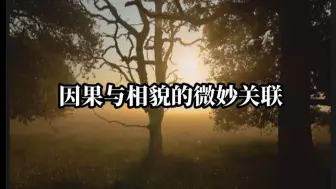 因果与相貌的微妙关联