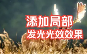 PS添加局部光效的方法