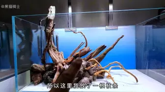 新的造景来了，做一个草缸造景能有多简单，看完这个视频心动了吧
