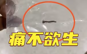 台湾男子睡地板被蜈蚣钻进裤裆狠咬下体 他把诊断书裱起来挂墙上