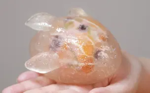 真的有人吃这玩意吗？！