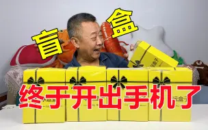 功夫不负有钱人，盲盒终于开出手机了