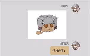 当你把瓦尔特猫猫糕发给杨叔后