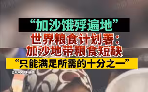 世界粮食计划署：加沙地带粮食短缺，“只能满足所需的十分之一”