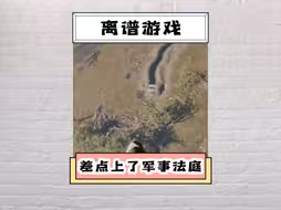 老哥因为会玩无人机，居然差点被送上军事法庭#万万没想到 #整活 #无人机 #战争 #离谱操作