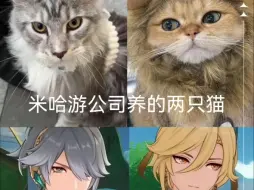 米哈游偷偷藏不住了吧？速速放下你的矜持，做法嗨卡同池