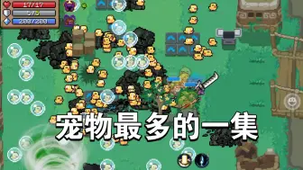 【元气骑士】宠物最多的一集