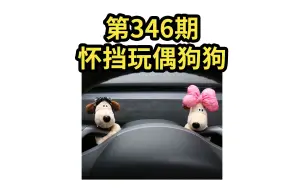 2023.8.24 第346期 特斯拉怀挡玩偶狗狗【model3/Y】