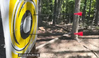 国外碳纤维靶箭