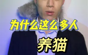 为什么养猫的人越来越多？