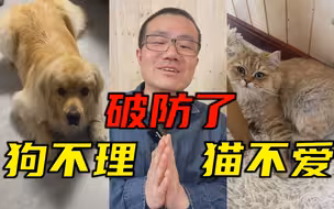 狗已经彻底不搭理他了，徐静雨气急败坏，当场破防。