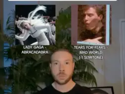 Lady Gaga的新歌 “Abracadabra” 和这首歌听着像吗？