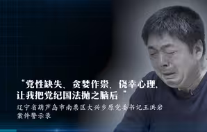 《忏悔录》王洪岩：党性缺失、贪婪作祟、侥幸心理，让我把党纪国法抛之脑后
