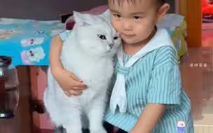 猫咪对人类幼崽的宠爱真的让人羡慕！