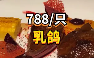 买一送六？788的乳鸽我还觉得我赚了？！