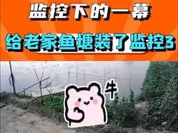 给老家鱼塘装了监控3
