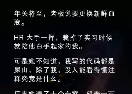 ﻿年关将至，老板说要更换新鲜血液.HR大手一挥裁掉了，实习时候就陪他白手起家的我.可是他不知道，我写的代码都是屎山，除了我没人能够看得懂《代码花样》#小说推文
