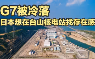 G7被当做隐形人，日本就想在台山核电站问题上“补回来”？