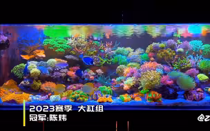 【2023非常靓缸】大缸组冠军：陈玮，小缸组比赛接受报名中