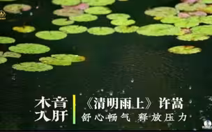 『五音疗疾』木音入肝，释放压力，舒心畅气，调整情绪，胆小、多疑、压力大可多听用《清明雨上》