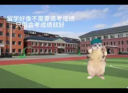 用猫meme打开我的俄罗斯留学...