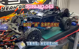 史诗级大rey保养洗车，荣登本店本年度top10